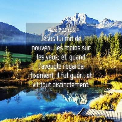 Picture 04 - Marc 8:25 LSG - Jésus lui mit de nouveau les mains sur les yeux; - Bible Verse Picture