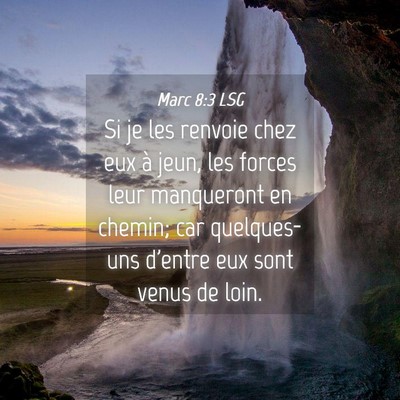 Picture 04 - Marc 8:3 LSG - Si je les renvoie chez eux à jeun, les forces - Bible Verse Picture