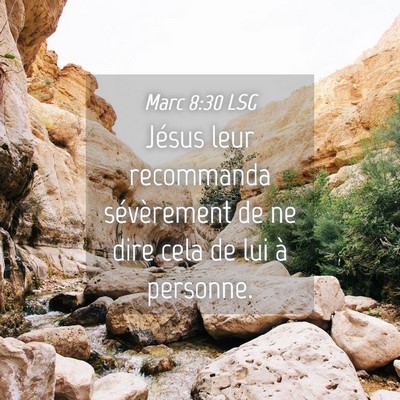 Picture 04 - Marc 8:30 LSG - Jésus leur recommanda sévèrement de ne dire - Bible Verse Picture