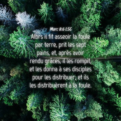 Picture 04 - Marc 8:6 LSG - Alors il fit asseoir la foule par terre, prit les - Bible Verse Picture
