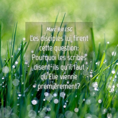 Picture 04 - Marc 9:11 LSG - Les disciples lui firent cette question: Pourquoi - Bible Verse Picture