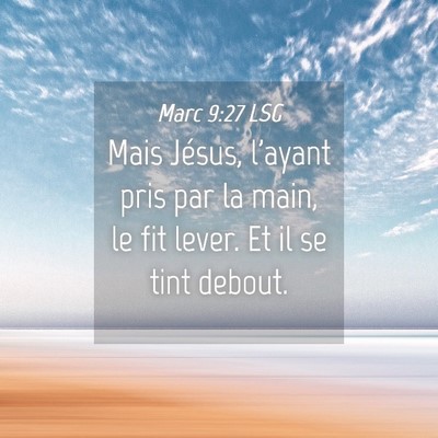 Picture 04 - Marc 9:27 LSG - Mais Jésus, l'ayant pris par la main, le fit - Bible Verse Picture