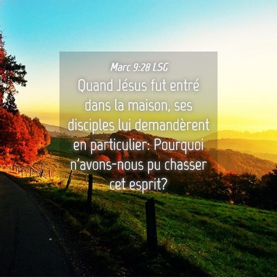 Picture 04 - Marc 9:28 LSG - Quand Jésus fut entré dans la maison, ses - Bible Verse Picture