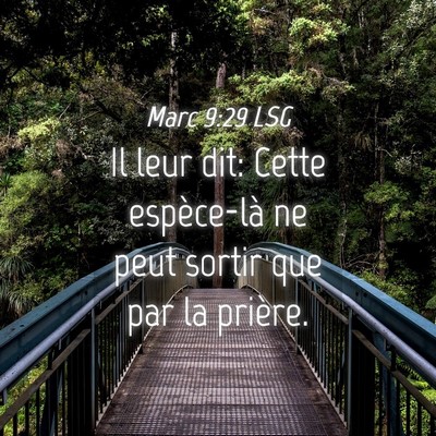 Picture 04 - Marc 9:29 LSG - Il leur dit: Cette espèce-là ne peut sortir que - Bible Verse Picture