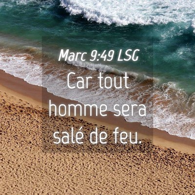Picture 04 - Marc 9:49 LSG - Car tout homme sera salé de - Bible Verse Picture