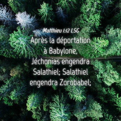 Picture 04 - Matthieu 1:12 LSG - Après la déportation à Babylone, Jéchonias - Bible Verse Picture