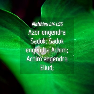 Picture 04 - Matthieu 1:14 LSG - Azor engendra Sadok; Sadok engendra Achim; Achim - Bible Verse Picture