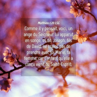 Picture 04 - Matthieu 1:20 LSG - Comme il y pensait, voici, un ange du Seigneur - Bible Verse Picture