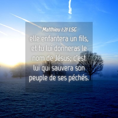 Picture 04 - Matthieu 1:21 LSG - elle enfantera un fils, et tu lui donneras le nom - Bible Verse Picture