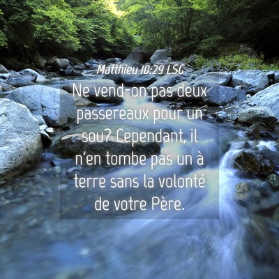 Picture 04 - Matthieu 10:29 LSG - Ne vend-on pas deux passereaux pour un sou? - Bible Verse Picture