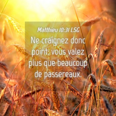 Picture 04 - Matthieu 10:31 LSG - Ne craignez donc point: vous valez plus que - Bible Verse Picture