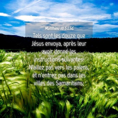 Picture 04 - Matthieu 10:5 LSG - Tels sont les douze que Jésus envoya, après - Bible Verse Picture