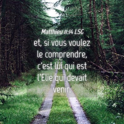 Picture 04 - Matthieu 11:14 LSG - et, si vous voulez le comprendre, c'est lui qui - Bible Verse Picture