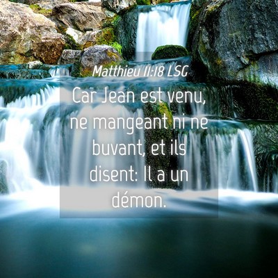Picture 04 - Matthieu 11:18 LSG - Car Jean est venu, ne mangeant ni ne buvant, et - Bible Verse Picture