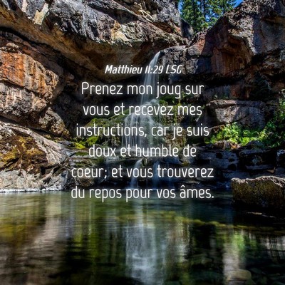 Picture 04 - Matthieu 11:29 LSG - Prenez mon joug sur vous et recevez mes - Bible Verse Picture