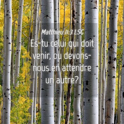 Picture 04 - Matthieu 11:3 LSG - Es-tu celui qui doit venir, ou devons-nous en - Bible Verse Picture