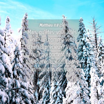 Picture 04 - Matthieu 11:8 LSG - Mais, qu'êtes-vous allés voir? un homme vêtu - Bible Verse Picture