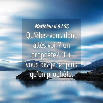 Picture 04 - Matthieu 11:9 LSG - Qu'êtes-vous donc allés voir? un prophète? - Bible Verse Picture