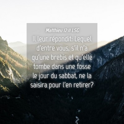 Picture 04 - Matthieu 12:11 LSG - Il leur répondit: Lequel d'entre vous, s'il n'a - Bible Verse Picture