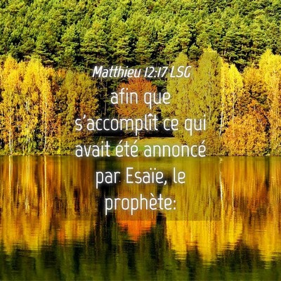 Picture 04 - Matthieu 12:17 LSG - afin que s'accomplît ce qui avait été annoncé - Bible Verse Picture
