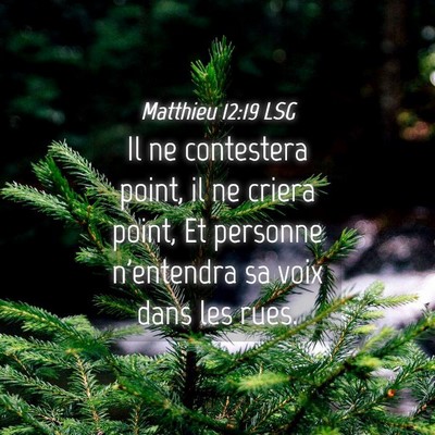Picture 04 - Matthieu 12:19 LSG - Il ne contestera point, il ne criera point, Et - Bible Verse Picture