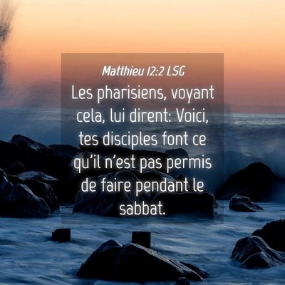 Picture 04 - Matthieu 12:2 LSG - Les pharisiens, voyant cela, lui dirent: Voici, - Bible Verse Picture