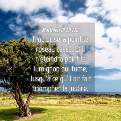 Picture 04 - Matthieu 12:20 LSG - Il ne brisera point le roseau cassé, Et il - Bible Verse Picture