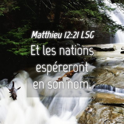 Picture 04 - Matthieu 12:21 LSG - Et les nations espéreront en son - Bible Verse Picture