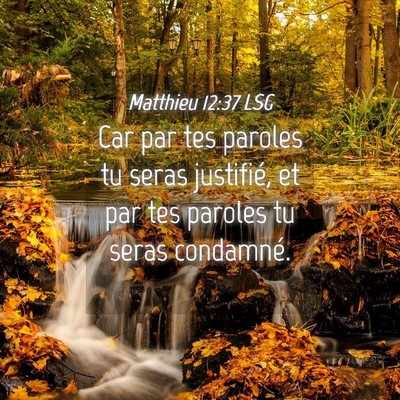 Picture 04 - Matthieu 12:37 LSG - Car par tes paroles tu seras justifié, et par - Bible Verse Picture