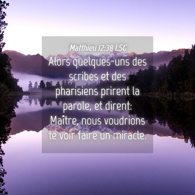 Picture 04 - Matthieu 12:38 LSG - Alors quelques-uns des scribes et des pharisiens - Bible Verse Picture