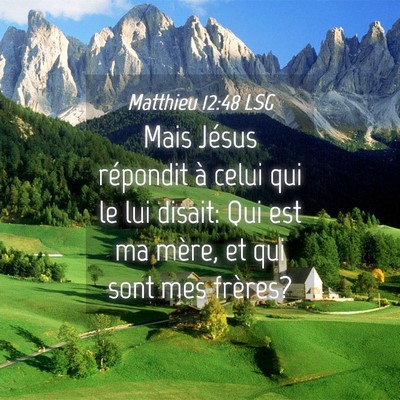 Picture 04 - Matthieu 12:48 LSG - Mais Jésus répondit à celui qui le lui disait: - Bible Verse Picture