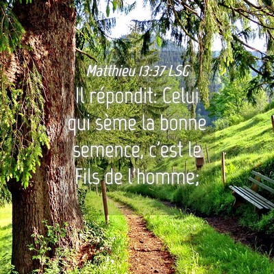 Picture 04 - Matthieu 13:37 LSG - Il répondit: Celui qui sème la bonne semence, - Bible Verse Picture
