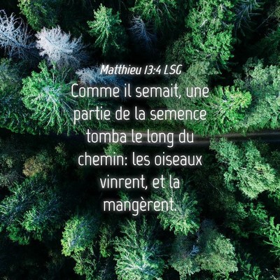 Picture 04 - Matthieu 13:4 LSG - Comme il semait, une partie de la semence tomba - Bible Verse Picture