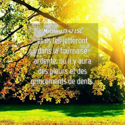 Picture 04 - Matthieu 13:42 LSG - et ils les jetteront dans la fournaise ardente, - Bible Verse Picture