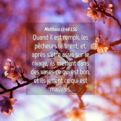 Picture 04 - Matthieu 13:48 LSG - Quand il est rempli, les pêcheurs le tirent; et, - Bible Verse Picture