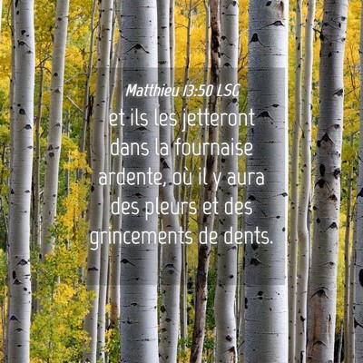 Picture 04 - Matthieu 13:50 LSG - et ils les jetteront dans la fournaise ardente, - Bible Verse Picture