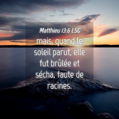 Picture 04 - Matthieu 13:6 LSG - mais, quand le soleil parut, elle fut brûlée et - Bible Verse Picture