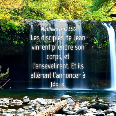 Picture 04 - Matthieu 14:12 LSG - Les disciples de Jean vinrent prendre son corps, - Bible Verse Picture