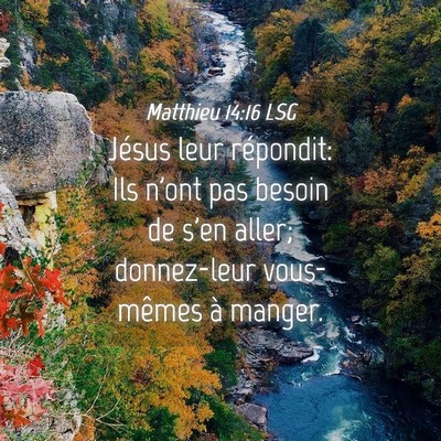 Picture 04 - Matthieu 14:16 LSG - Jésus leur répondit: Ils n'ont pas besoin de - Bible Verse Picture