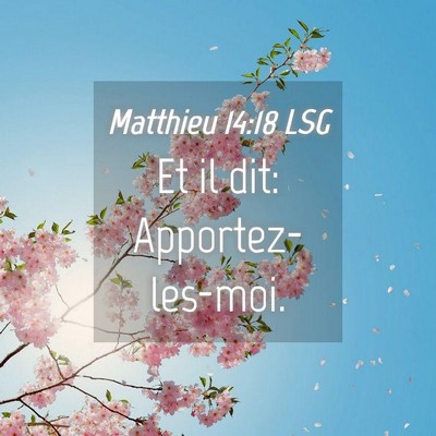 Picture 04 - Matthieu 14:18 LSG - Et il dit: - Bible Verse Picture