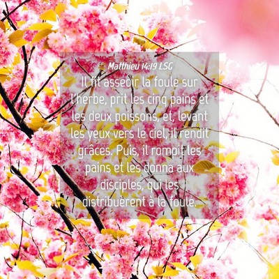 Picture 04 - Matthieu 14:19 LSG - Il fit asseoir la foule sur l'herbe, prit les - Bible Verse Picture