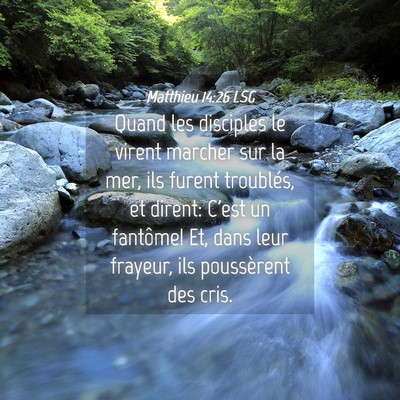 Picture 04 - Matthieu 14:26 LSG - Quand les disciples le virent marcher sur la mer, - Bible Verse Picture
