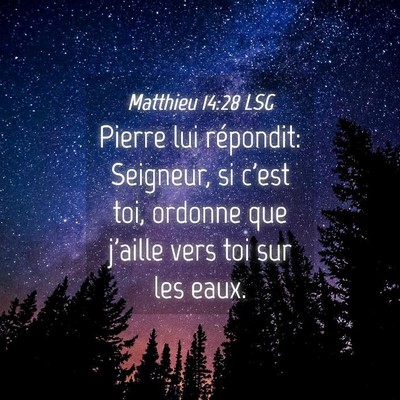Picture 04 - Matthieu 14:28 LSG - Pierre lui répondit: Seigneur, si c'est toi, - Bible Verse Picture