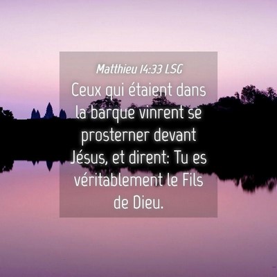 Picture 04 - Matthieu 14:33 LSG - Ceux qui étaient dans la barque vinrent se - Bible Verse Picture