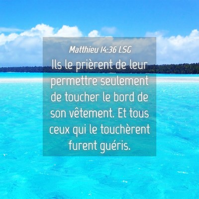 Picture 04 - Matthieu 14:36 LSG - Ils le prièrent de leur permettre seulement de - Bible Verse Picture