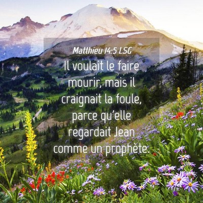 Picture 04 - Matthieu 14:5 LSG - Il voulait le faire mourir, mais il craignait la - Bible Verse Picture