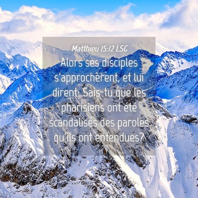 Picture 04 - Matthieu 15:12 LSG - Alors ses disciples s'approchèrent, et lui - Bible Verse Picture