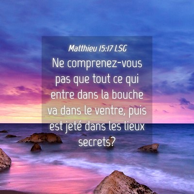 Picture 04 - Matthieu 15:17 LSG - Ne comprenez-vous pas que tout ce qui entre dans - Bible Verse Picture