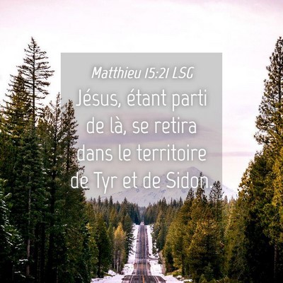 Picture 04 - Matthieu 15:21 LSG - Jésus, étant parti de là, se retira dans le - Bible Verse Picture