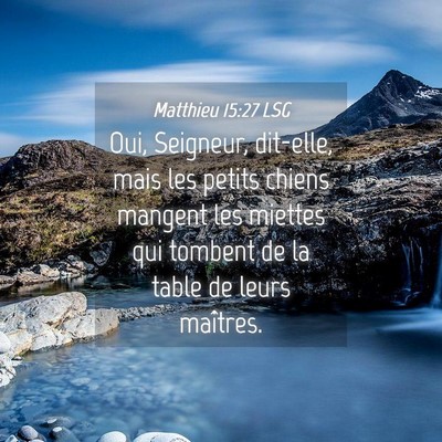Picture 04 - Matthieu 15:27 LSG - Oui, Seigneur, dit-elle, mais les petits chiens - Bible Verse Picture